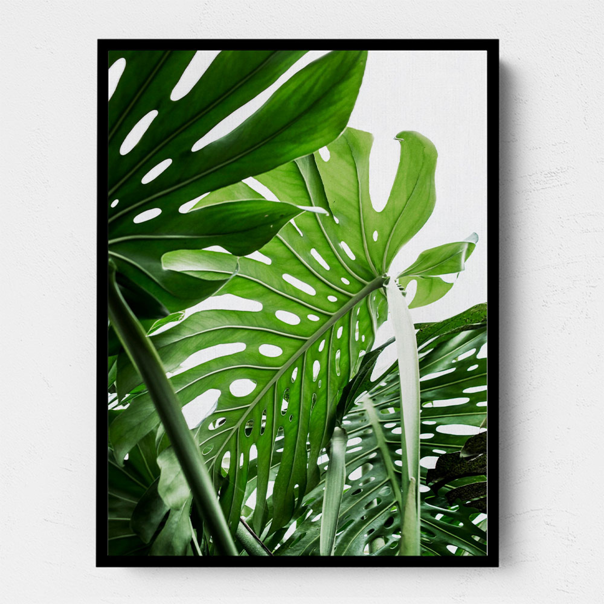 Jungle Wall Art